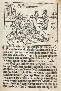 Lidwina’s val op het ijs