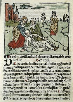 Lidwina’s val op het ijs