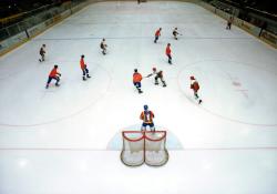 Wereldkampioenschap Rinkbandy in 1998, Nederland-Hongarije