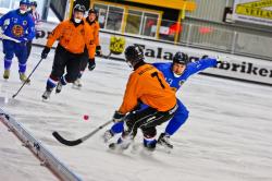 Nederland - Estland tijdens WK 2013
