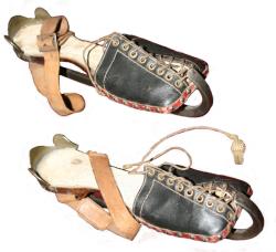 Schaatsen op pootjes voor familie keizer Napoleon III (Frankrijk)