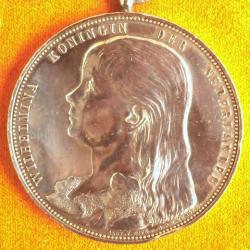 Voorzijde gouden medaille voor Jaap Eden van Koningin Wilhelmina