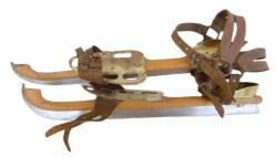 Koninginneschaats of Vissering-Ruiterschaats