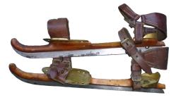 Koninginneschaats of Vissering-Ruiterschaats