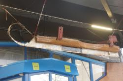 Wielaard Grote Krulschaats