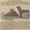 Artikel 1854 over de zwanenschaatsen van Koningin Victoria van Engeland