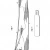 Patent 1902 schaatsenmaker Brown Spring Ice Skate Co. (Iowa, USA)