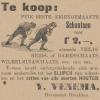 Advertentie 1905 schaatsenmaker IJ.Venema, Drachten