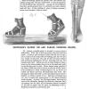 Scientific American 1868 Brownlee's patent ice and parlor skate