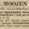 Advertentie 1889 schaatsenmaker J.G. Moojen, den Burg