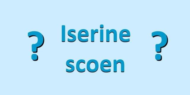 Iserine scoen; yserine scoen; Maerlant; Verdam; schaatsen; stijgbeugel; hoefijzer