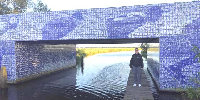 The language of skating history